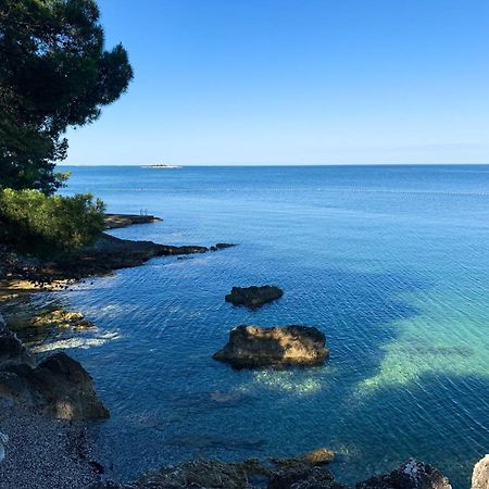 App Fiorela Porec Luaran gambar